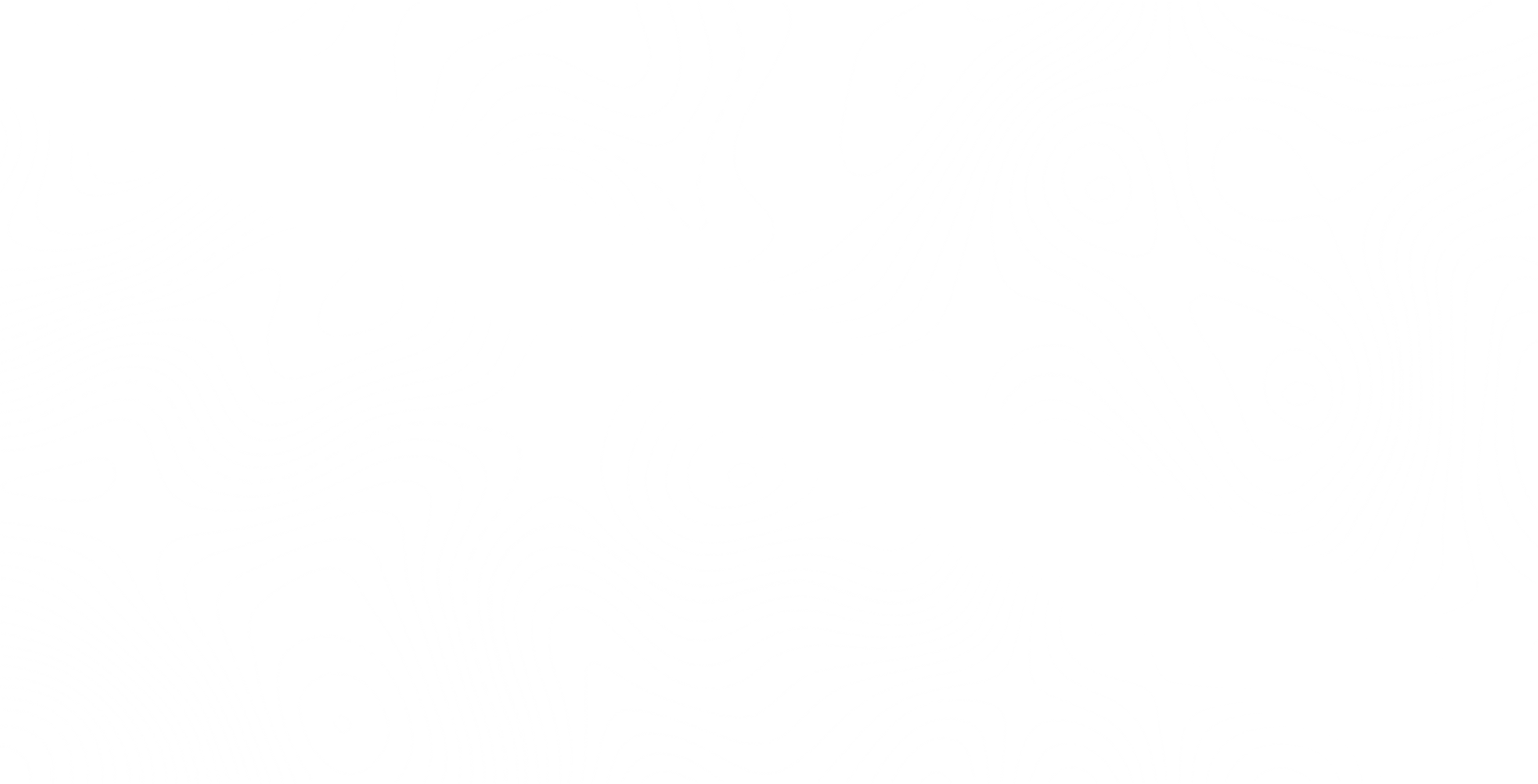 Orange County Yacht Wraps Topo Pass through white.png