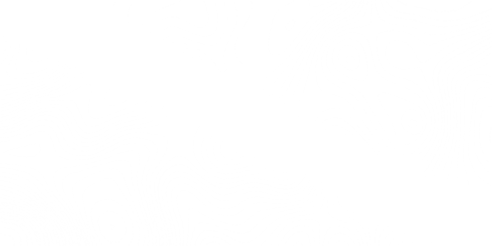 Topo Pass through white.png